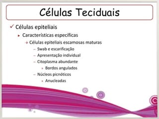 Células Teciduais
 Células epiteliais
► Características específicas
 Células epiteliais escamosas maturas
– Swab e escarificação
– Apresentação individual
– Citoplasma abundante
» Bordos angulados
– Núcleos picnóticos
» Anucleadas
 