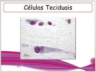 Células Teciduais
 