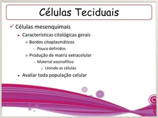 Células Teciduais
 Células mesenquimais
► Características citológicas gerais
 Bordos citoplasmáticos
– Pouco definidos
 Produção de matriz extracelular
– Material eosinofílico
» Unindo as células
► Avaliar toda população celular
 