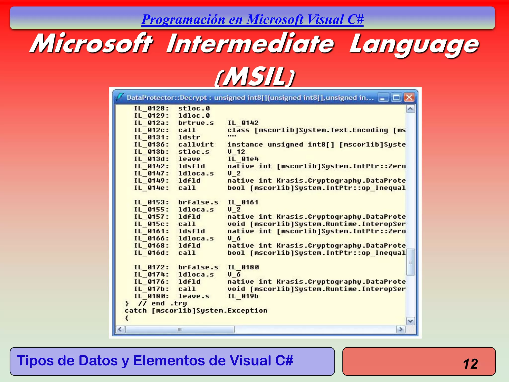Tipos de Datos y Elementos de Visual C#
Programación en Microsoft Visual C#
Microsoft Intermediate Language
(MSIL)
12
 