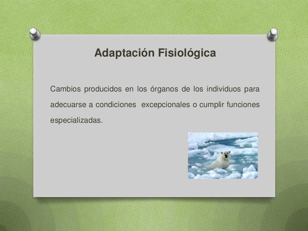 Tipos de adaptación