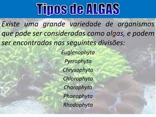 Existe uma grande variedade de organismos
que pode ser consideradas como algas, e podem
ser encontrados nas seguintes divisões:
Euglenophyta
Pyrrophyta
Chrysophyta
Chlorophyta
Charophyta
Phaeophyta
Rhodophyta

 