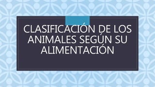 C
CLASIFICACIÓN DE LOS
ANIMALES SEGÚN SU
ALIMENTACIÓN
 
