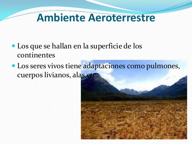 ambientes terrestres acuaticos y de transicion