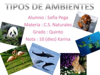 TIPOS DE AMBIENTES Alumno : Sofía Pega                  Materia : C.S. Naturales Grado : Quinto Nota : 10 (diez) Karina     