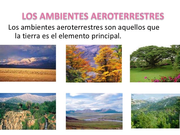 Tipos de ambientes sofia pega