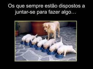 Os que sempre estão dispostos a
juntar-se para fazer algo…

 