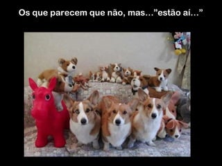 Os que parecem que não, mas…”estão aí…”

 