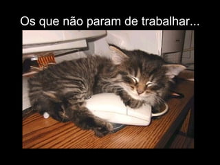 Os que não param de trabalhar...

 