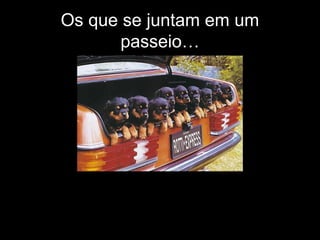 Os que se juntam em um
passeio…

 
