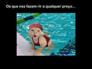 Os que nos fazem rir a qualquer preço…

 