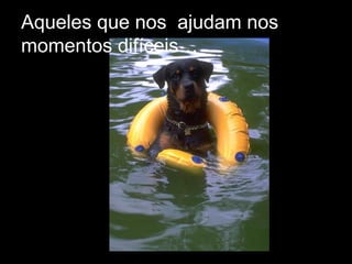 Aqueles que nos ajudam nos
momentos difíceis…

 