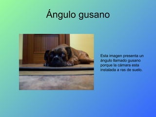 Ángulo gusano Esta imagen presenta un ángulo llamado gusano porque la cámara esta instalada a ras de suelo. 