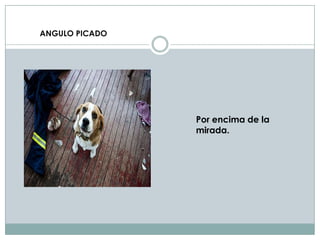 ANGULO PICADO




                Por encima de la
                mirada.
 