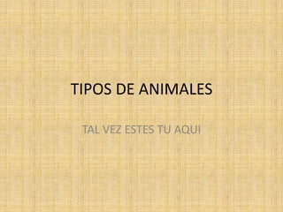 TIPOS DE ANIMALES TAL VEZ ESTES TU AQUI 
