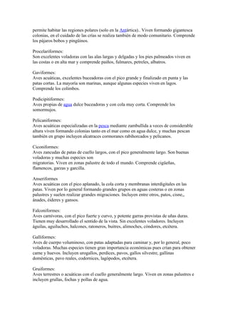 permite habitar las regiones polares (solo en la Antártica).. Viven formando gigantesca
colonias, en el cuidado de las crías se realiza también de modo comunitario. Comprende
los pájaros bobos y pingüinos.

Procelariformes:
Son excelentes voladoras con las alas largas y delgadas y los pies palmeados viven en
las costas o en alta mar y comprende paiños, fulmares, petreles, albatros.

Gaviformes:
Aves acuáticas, excelentes buceadoras con el pico grande y finalizado en punta y las
patas cortas. La mayoría son marinas, aunque algunas especies viven en lagos.
Comprende los colimbos.

Podicipitiformes:
Aves propias de agua dulce buceadoras y con cola muy corta. Comprende los
somormujos.

Pelicaniformes:
Aves acuáticas especializadas en la pesca mediante zambullida a veces de considerable
altura viven formando colonias tanto en el mar como en agua dulce, y muchas pescan
también en grupo incluyen alcatraces cormoranes rabihorcados y pelícanos.

Ciconiformes:
Aves zancudas de patas de cuello largos, con el pico generalmente largo. Son buenas
voladoras y muchas especies son
migratorias. Viven en zonas palustre de todo el mundo. Comprende cigüeñas,
flamencos, garzas y garcilla.

Anseriformes
Aves acuáticas con el pico aplanado, la cola corta y membranas interdigitales en las
patas. Viven por lo general formando grandes grupos en aguas costeras o en zonas
palustres y suelen realizar grandes migraciones. Incluyen entre otros, patos, cisne,,
ánades, éideres y gansos.

Falconiformes:
Aves carnívoras, con el pico fuerte y curvo, y potente garras provistas de uñas duras.
Tienen muy desarrollado el sentido de la vista. Sin excelentes voladores. Incluyen
águilas, aguiluchos, halcones, ratoneros, buitres, alimoches, cóndores, etcétera.

Galliformes:
Aves de cuerpo voluminoso, con patas adaptadas para caminar y, por lo general, poco
voladoras. Muchas especies tienen gran importancia económicas pues crían para obtener
carne y huevos. Incluyen urogallos, perdices, pavos, gallos silvestre, gallinas
domésticas, pavo reales, codornices, lagópodos, etcétera.

Gruiformes:
Aves terrestres o acuáticas con el cuello generalmente largo. Viven en zonas palustres e
incluyen grullas, fochas y pollas de agua.
 