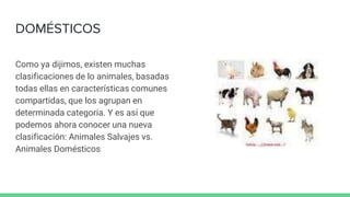 DOMÉSTICOS
Como ya dijimos, existen muchas
clasificaciones de lo animales, basadas
todas ellas en características comunes
compartidas, que los agrupan en
determinada categoría. Y es así que
podemos ahora conocer una nueva
clasificación: Animales Salvajes vs.
Animales Domésticos
 