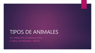 TIPOS DE ANIMALES
HAY VARIOS TIPOS DE ANIMALES COMO:
EL KOALA, LOS PINGUINOS , MEDUSA
 