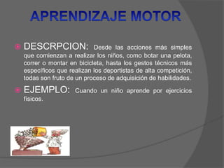 DESCRPCION: Desde las acciones más simples
que comienzan a realizar los niños, como botar una pelota,
correr o montar en bicicleta, hasta los gestos técnicos más
específicos que realizan los deportistas de alta competición,
todas son fruto de un proceso de adquisición de habilidades.
 EJEMPLO: Cuando un niño aprende por ejercicios
físicos.
 