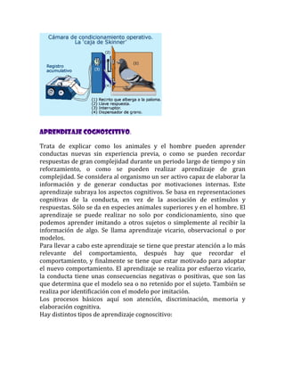 Aprendizaje cognoscitivo.
Trata de explicar como los animales y el hombre pueden aprender
conductas nuevas sin experiencia previa, o como se pueden recordar
respuestas de gran complejidad durante un periodo largo de tiempo y sin
reforzamiento, o como se pueden realizar aprendizaje de gran
complejidad. Se considera al organismo un ser activo capaz de elaborar la
información y de generar conductas por motivaciones internas. Este
aprendizaje subraya los aspectos cognitivos. Se basa en representaciones
cognitivas de la conducta, en vez de la asociación de estímulos y
respuestas. Sólo se da en especies animales superiores y en el hombre. El
aprendizaje se puede realizar no solo por condicionamiento, sino que
podemos aprender imitando a otros sujetos o simplemente al recibir la
información de algo. Se llama aprendizaje vicario, observacional o por
modelos.
Para llevar a cabo este aprendizaje se tiene que prestar atención a lo más
relevante del comportamiento, después hay que recordar el
comportamiento, y finalmente se tiene que estar motivado para adoptar
el nuevo comportamiento. El aprendizaje se realiza por esfuerzo vicario,
la conducta tiene unas consecuencias negativas o positivas, que son las
que determina que el modelo sea o no retenido por el sujeto. También se
realiza por identificación con el modelo por imitación.
Los procesos básicos aquí son atención, discriminación, memoria y
elaboración cognitiva.
Hay distintos tipos de aprendizaje cognoscitivo:

 