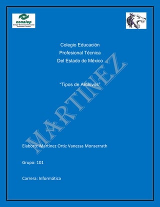 Colegio Educación
Profesional Técnica
Del Estado de México
“Tipos de Archivos”
Elaboro: Martínez Ortiz Vanessa Monserrath
Grupo: 101
Carrera: Informática
 