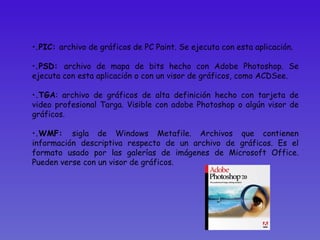 .PIC:  archivo de gráficos de PC Paint. Se ejecuta con esta aplicación. .PSD:  archivo de mapa de bits hecho con Adobe Photoshop. Se ejecuta con esta aplicación o con un visor de gráficos, como ACDSee.  .TGA : archivo de gráficos de alta definición hecho con tarjeta de video profesional Targa. Visible con adobe Photoshop o algún visor de gráficos. .WMF:  sigla de Windows Metafile. Archivos que contienen información descriptiva respecto de un archivo de gráficos. Es el formato usado por las galerías de imágenes de Microsoft Office. Pueden verse con un visor de gráficos.  