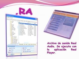 .RAArchivo de sonido Real Audio. Se ejecuta con la aplicación Real Player. 