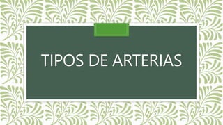 TIPOS DE ARTERIAS
 