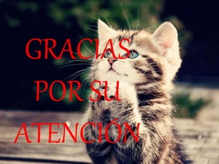 GRACIAS
POR SU
ATENCIÓN
 