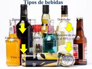 Tipos de bebidas Fermentadas Destiladas Graduación de alcohol entre 5% y 15% Graduación de alcohol entre el 40% y el 50%  Vino, cerveza Ron, tequila, gin, whisky, etc. 