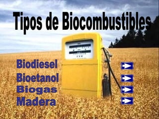 Tipos de Biocombustibles Biodiesel Bioetanol Biogas Madera 
