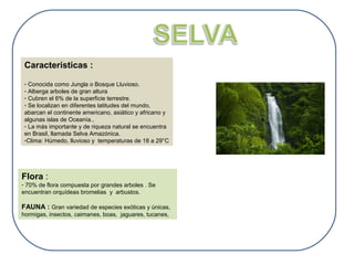 Características : 
- Conocida como Jungla o Bosque Lluvioso. 
- Alberga arboles de gran altura 
- Cubren el 6% de la superficie terrestre. 
- Se localizan en diferentes latitudes del mundo, 
abarcan el continente americano, asiático y africano y 
algunas islas de Oceanía., 
- La más importante y de riqueza natural se encuentra 
en Brasil, llamada Selva Amazónica. 
-Clima: Húmedo, lluvioso y temperaturas de 18 a 29°C 
Flora : 
- 70% de flora compuesta por grandes arboles . Se 
encuentran orquídeas bromelias y arbustos. 
FAUNA : Gran variedad de especies exóticas y únicas, 
hormigas, insectos, caimanes, boas, jaguares, tucanes, 
 