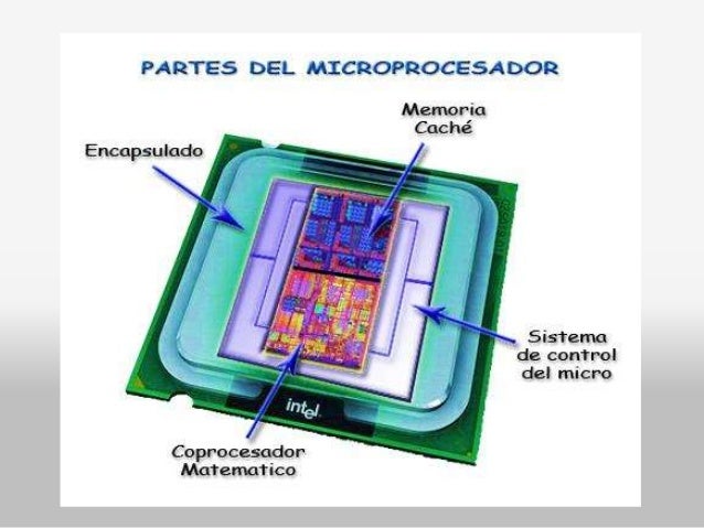 Tipos de buses y microprocesadores