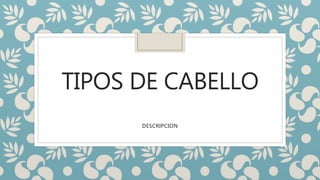 TIPOS DE CABELLO
DESCRIPCION
 