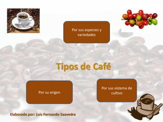 Por sus especies y
                                     variedades




                          Tipos de Café

                                                       Por sus sistema de
                Por su origen                                cultivo




Elaborado por: Luis Fernando Saavedra
 