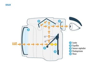 DSLR
 