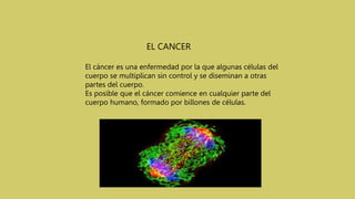 EL CANCER
El cáncer es una enfermedad por la que algunas células del
cuerpo se multiplican sin control y se diseminan a otras
partes del cuerpo.
Es posible que el cáncer comience en cualquier parte del
cuerpo humano, formado por billones de células.
 