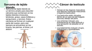 Sarcoma de tejido
blando
• Sarcoma de tejido blando es
un término amplio para describir
cánceres que comienzan en los
tejidos blandos (músculos,
tendones, grasa, vasos linfáticos y
sanguíneos, y nervios). Estos
cánceres se forman en cualquier
parte del cuerpo, pero casi
siempre se encuentran en los
brazos, las piernas, el tórax y el
abdomen.
Cáncer de testículo
• Cáncer en los órganos masculinos
que fabrican hormonas masculinas
y esperma (testículos).
• Los testículos están ubicados
dentro de un saco de piel holgado
(escroto) debajo del pene.
• Los síntomas incluyen una
protuberancia en cada testículo y
una sensación de pesadez en el
escroto.
• Los tratamientos incluyen cirugía,
radioterapia y quimioterapia.
17
 