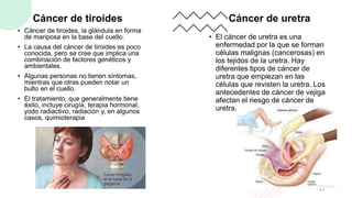 Cáncer de tiroides
• Cáncer de tiroides, la glándula en forma
de mariposa en la base del cuello.
• La causa del cáncer de tiroides es poco
conocida, pero se cree que implica una
combinación de factores genéticos y
ambientales.
• Algunas personas no tienen síntomas,
mientras que otras pueden notar un
bulto en el cuello.
• El tratamiento, que generalmente tiene
éxito, incluye cirugía, terapia hormonal,
yodo radiactivo, radiación y, en algunos
casos, quimioterapia.
Cáncer de uretra
• El cáncer de uretra es una
enfermedad por la que se forman
células malignas (cancerosas) en
los tejidos de la uretra. Hay
diferentes tipos de cáncer de
uretra que empiezan en las
células que revisten la uretra. Los
antecedentes de cáncer de vejiga
afectan el riesgo de cáncer de
uretra.
23
 