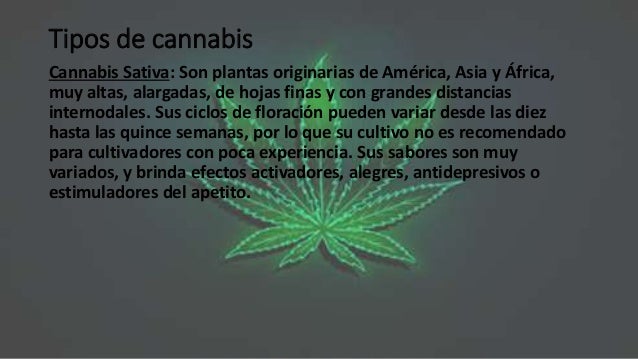 Tipos de cannabis
