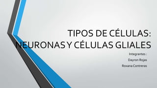 TIPOS DE CÉLULAS:
NEURONASY CÉLULAS GLIALES
Integrantes :
Dayron Rojas
Roxana Contreras
 