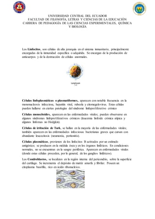UNIVERSIDAD CENTRAL DEL ECUADOR
FACULTAD DE FILOSOFÍA, LETRAS Y CIENCIAS DE LA EDUCACIÓN
CARRERA DE PEDAGOGÍA DE LAS CIENCIAS EXPERIMENTALES, QUÍMICA
Y BIOLOGÍA
Los Linfocitos, son células de alta jerarquía en el sistema inmunitario, principalmente
encargadas de la inmunidad específica o adquirida. Se encargan de la producción de
anticuerpos y de la destrucción de células anormales.
Células linfoplasmáticas o plasmatiformes, aparecen con notable frecuencia en la
mononucleosis infecciosa, hepatitis viral, rubeola y citomegalovirus. Estas células
pueden hallarse en ciertas patologías del síndrome linfoproliferativo crónico
Células monocitoides, aparecen en las enfermedades virales; pueden observarse en
algunos síndromes linfoproliferativos crónicos (leucemia linfoide crónica atípica y
algunos linfomas no Hodgkin).
Células de irritación de Turk, se hallan en la mayoría de las enfermedades virales;
también aparecen en las enfermedades infecciosas bacterianas graves que cursan con
abundante leucocitosis (neumonía, peritonitis).
Células plasmáticas, provienen de los linfocitos B activados por un estímulo
antigénico; se producen en la médula ósea y en los órganos linfáticos. En condiciones
normales, no se encuentran en la sangre periférica. Aparecen en enfermedades virales
(donde estas células proceden, por lo general, de los ganglios linfáticos).
Los Condroblastos, se localizan en la región interna del pericondrio, sobre la superficie
del cartílago. Se incrementa el depósito de matriz amorfa y fibrilar. Poseen un
citoplasma basófilo, rico en ácido ribonucleico.
 