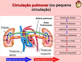 Circulação sistémica (ou grande circulação)Artéria pulmonarVeias PulmonaresCirculação pulmonar (ou pequena circulação)Ventrículo direitoArtéria PulmonarArtérias e arteríolasPulmões (capilares)Vénulas e veiasVeias pulmonaresAurícula EsquerdaSangue Venoso (rico em CO2)Sangue Arterial (rico em O2)