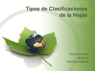 Tipos de Clasificaciones
             de la Hojas




                 Sonia Campaña
                         Botánica
                Gestión Ambiental
 