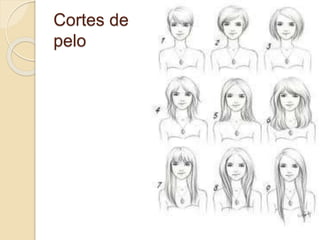 Cortes de
pelo
 