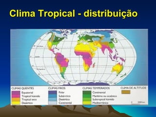 Clima Tropical - distribuição
 