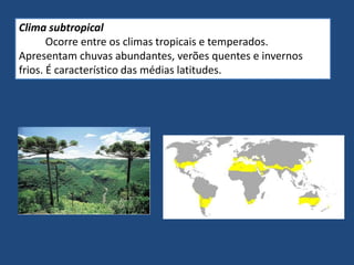 Clima subtropical
Ocorre entre os climas tropicais e temperados.
Apresentam chuvas abundantes, verões quentes e invernos
frios. É característico das médias latitudes.
 