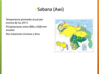 Awí Bosque húmedotropófito y sabanasherbazáles