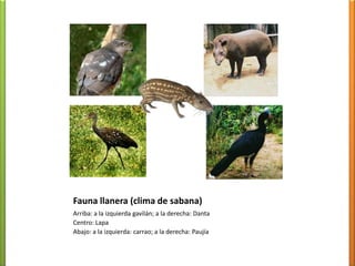 BWidesiertosáridos, ausencia de vegetación