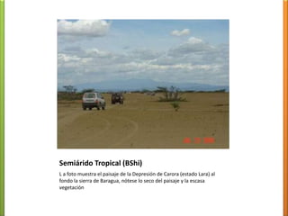 Gw’’(‘’) Templados de altura tropical, sabanas (herbazáles) en alternancia con bosqueshúmedostropófitos